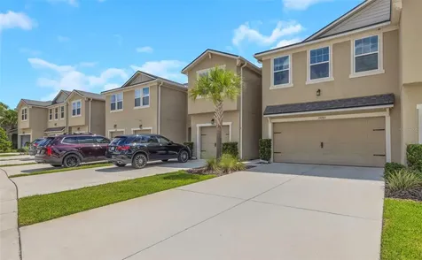 14203 Damselfly Drive Tampa FL 33625