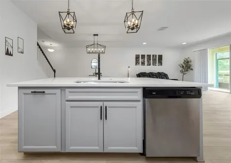 14203 Damselfly Drive Tampa FL 33625