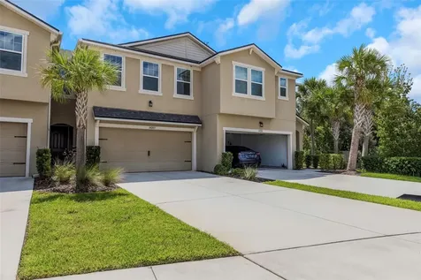14203 Damselfly Drive Tampa FL 33625