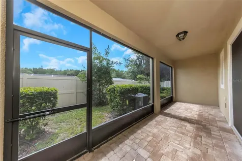 14203 Damselfly Drive Tampa FL 33625