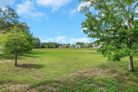 14203 Damselfly Drive Tampa FL 33625