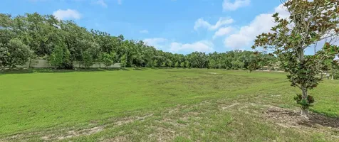 14203 Damselfly Drive Tampa FL 33625