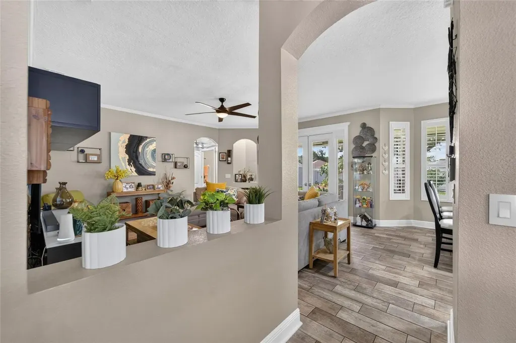 11405 Village Brook Drive Riverview FL 33579