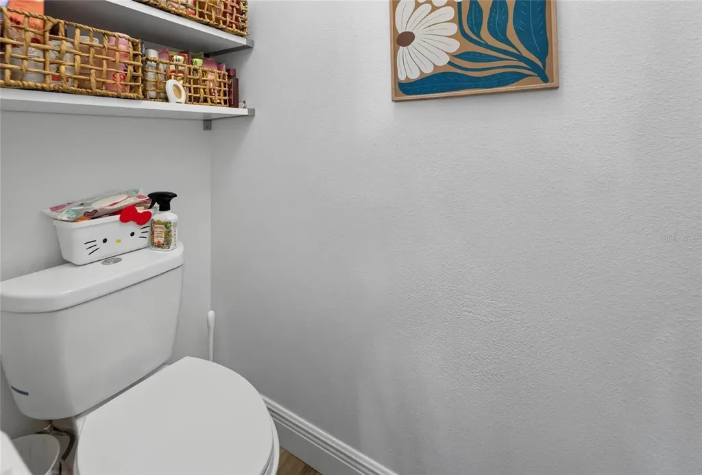 11405 Village Brook Drive Riverview FL 33579