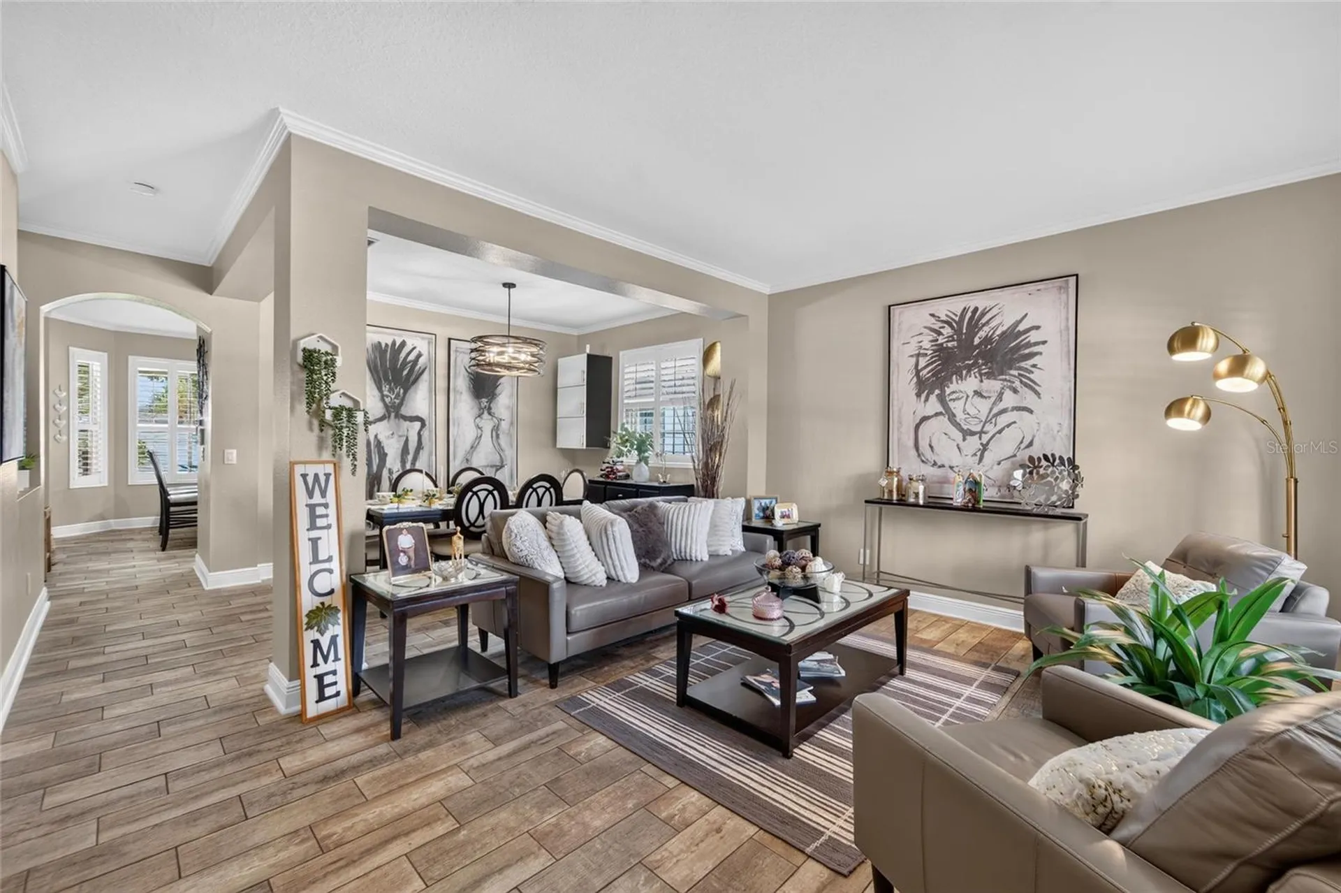11405 Village Brook Drive Riverview FL 33579