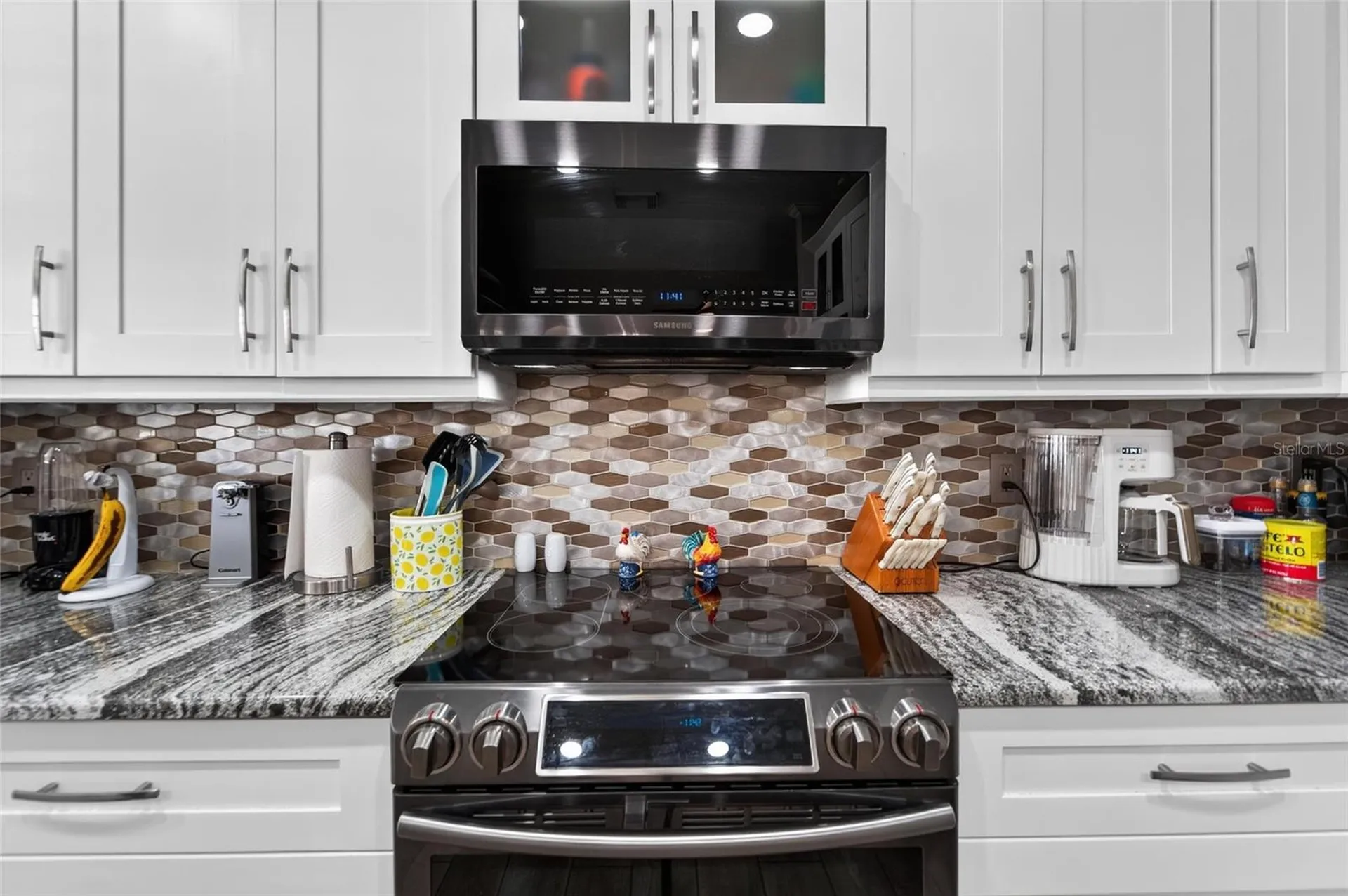 11405 Village Brook Drive Riverview FL 33579