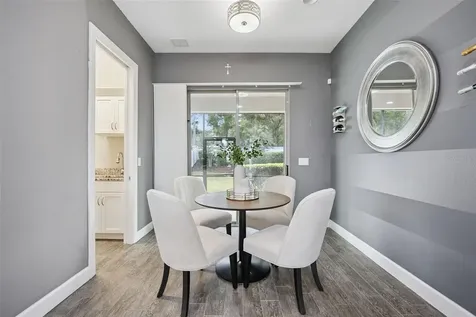 1276 Dora Parc Lane Mount Dora FL 32757