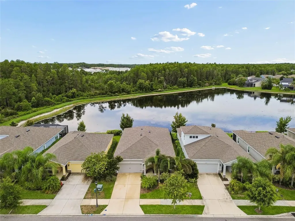 2419 Portico Street Odessa FL 33556