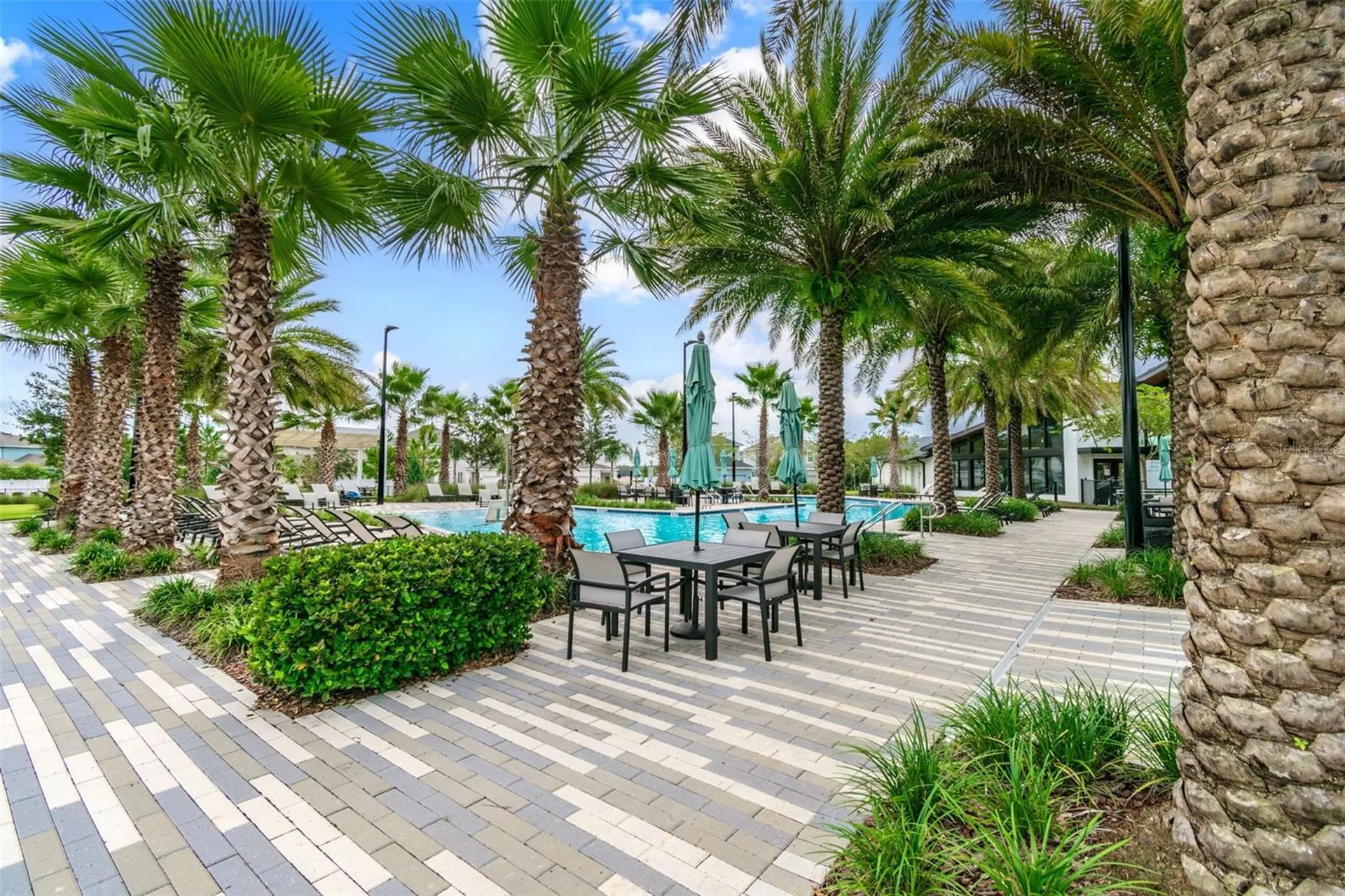 2419 Portico Street Odessa FL 33556