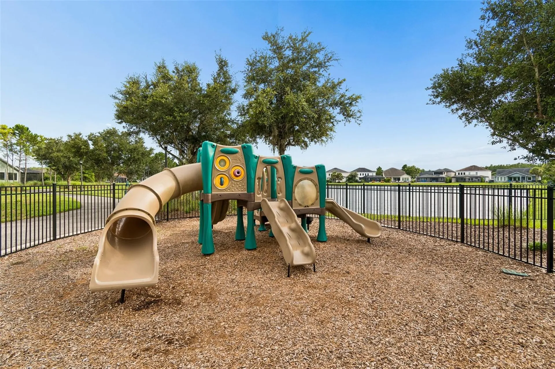 2419 Portico Street Odessa FL 33556