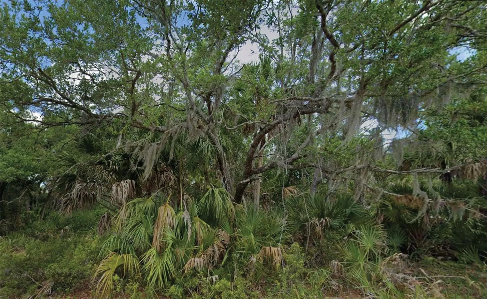 14202 Brisk Avenue Port Charlotte FL 33953