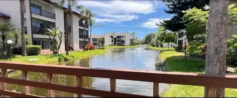 3850 N Lake Drive Tampa FL 33614