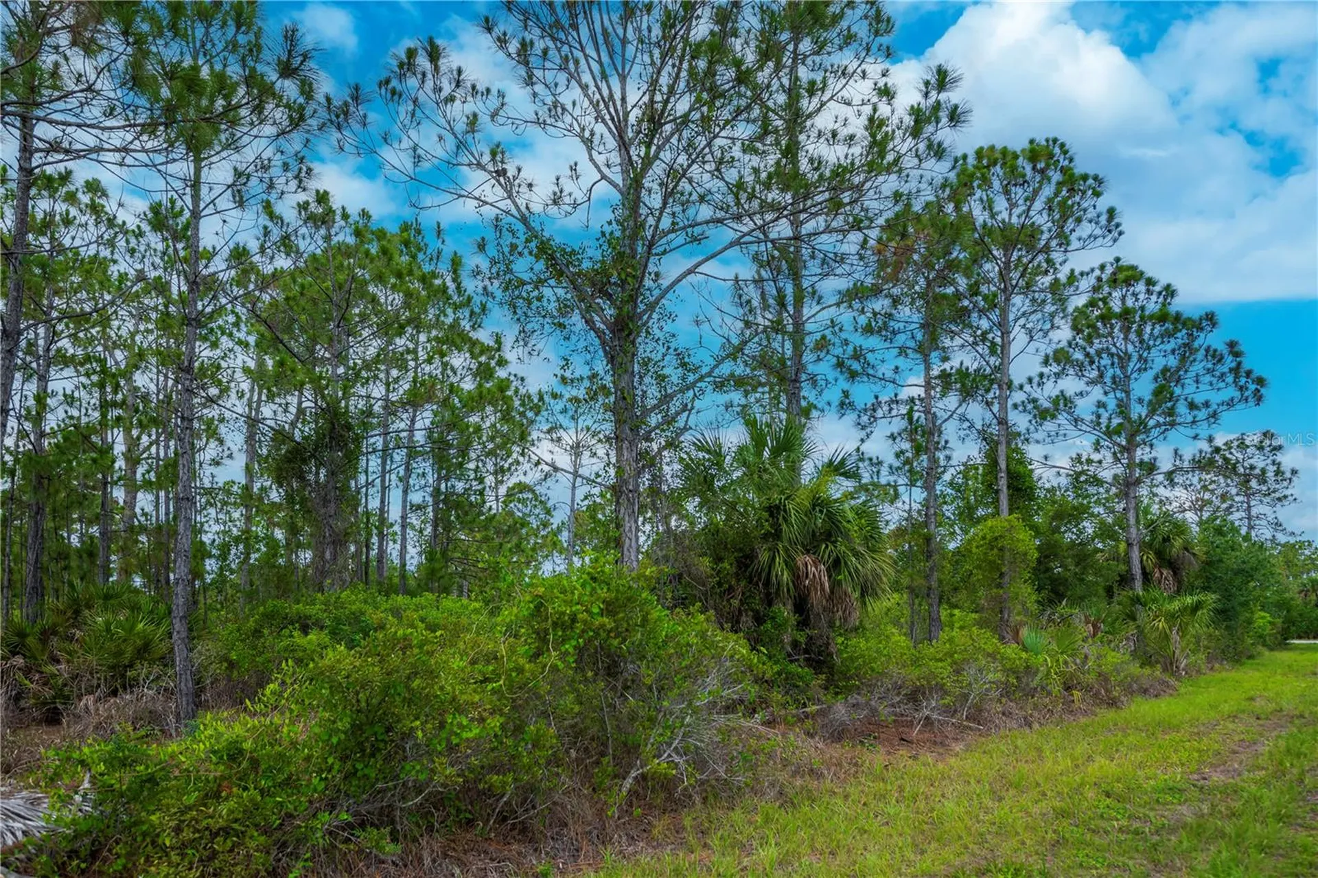 474 Hanscom Street Port Charlotte FL 33953