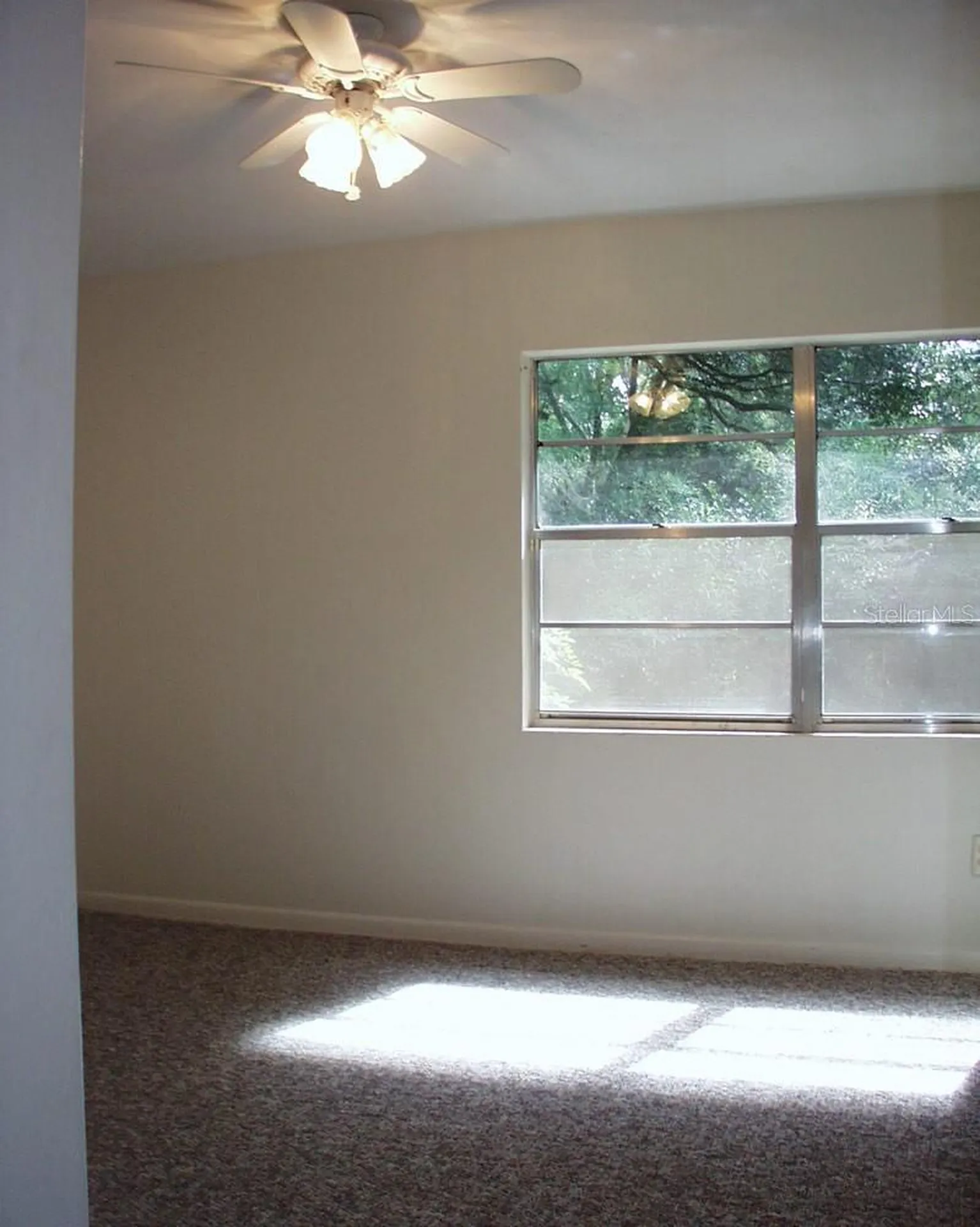 621 NW 36th Drive Gainesville FL 32607