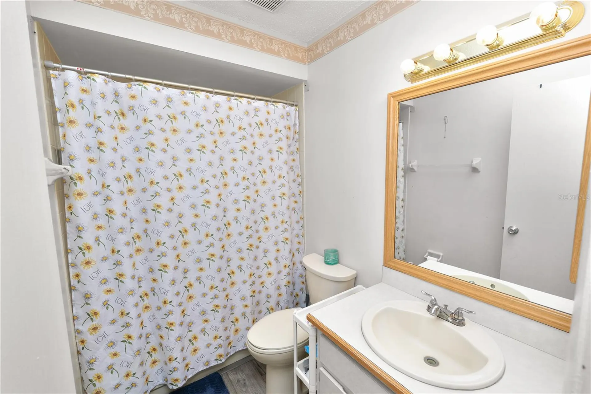 2009 Helm Lane Valrico FL 33594