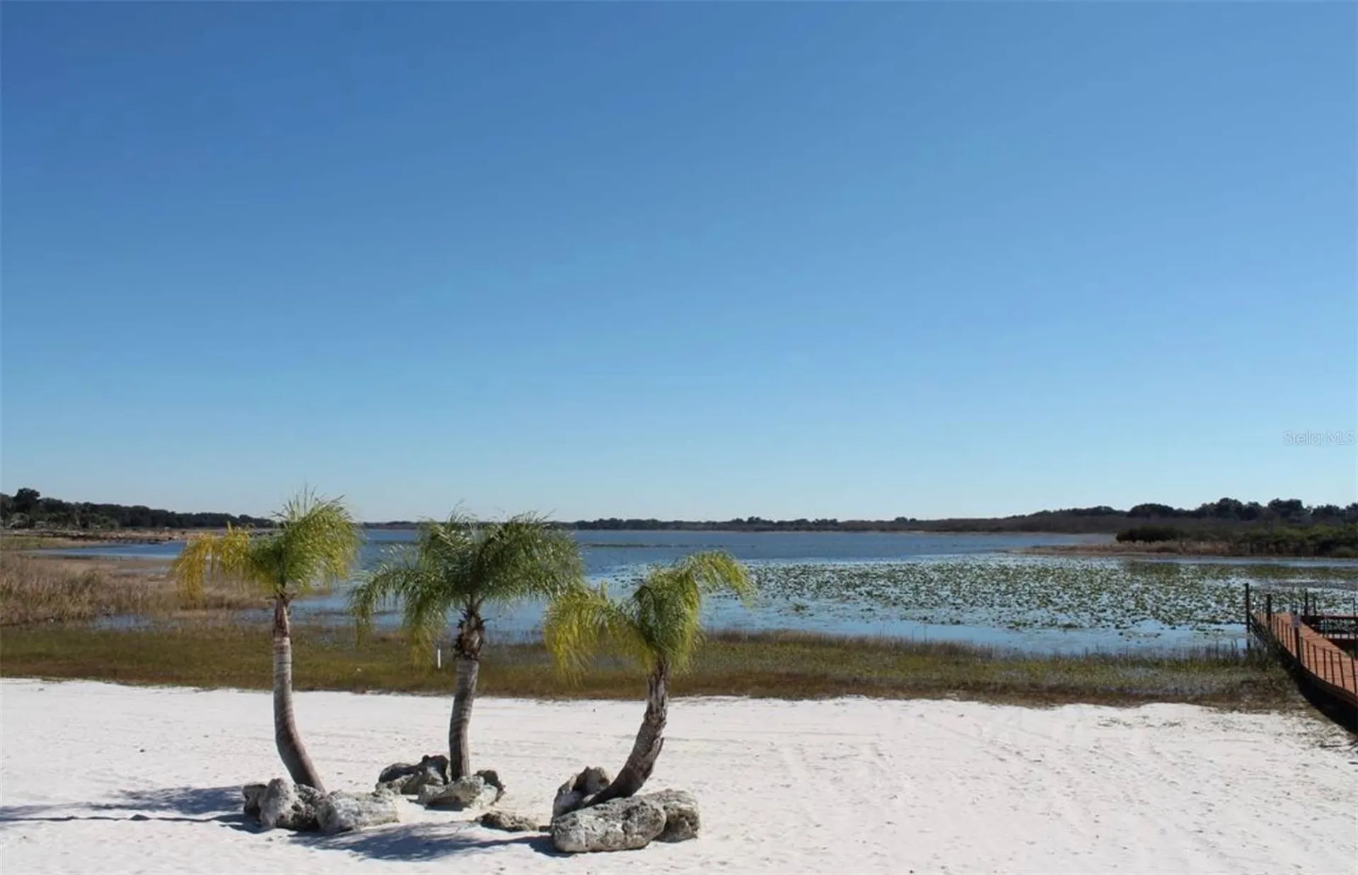 5011 Belted Kingfisher Drive Oxford FL 34484