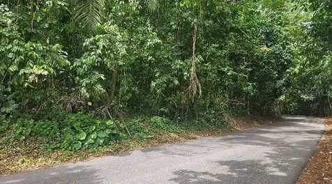 Morovis PR 00687