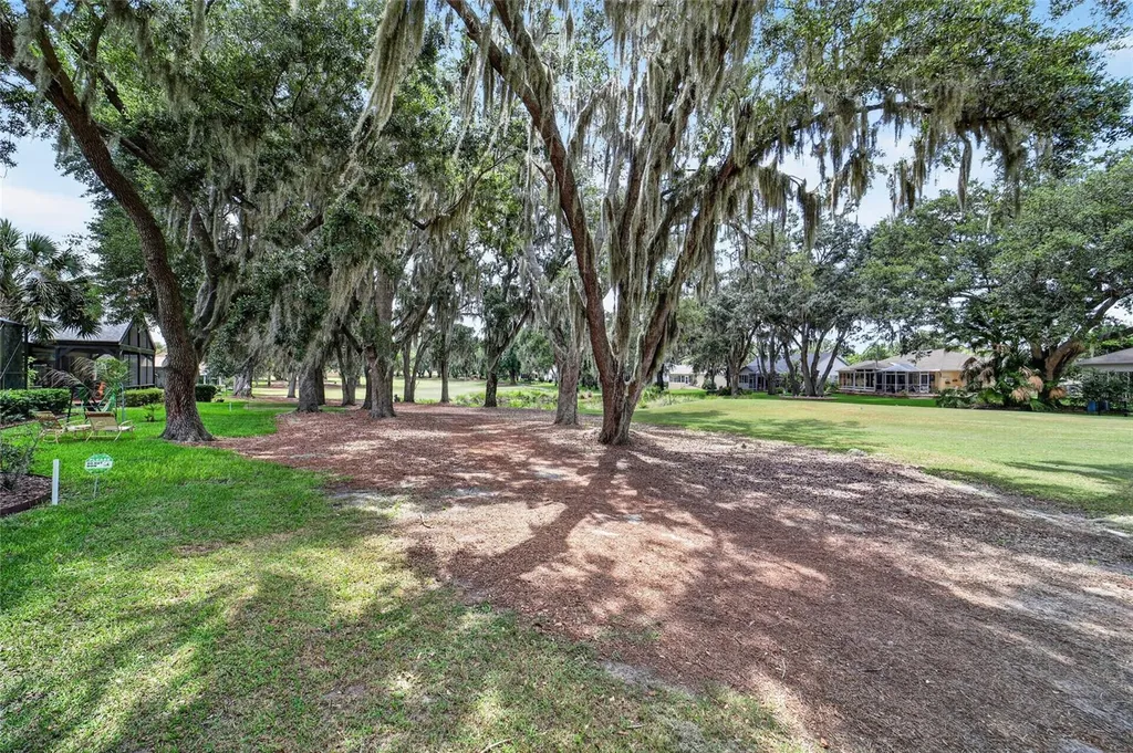 1230 Desilva Street Lady Lake FL 32159