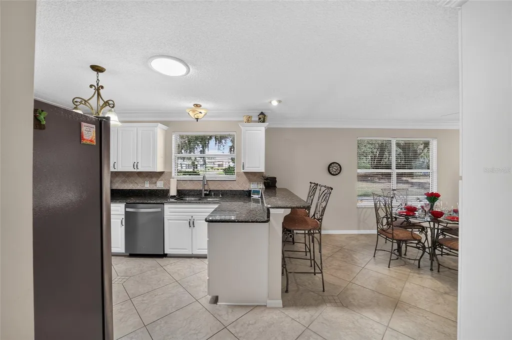 1230 Desilva Street Lady Lake FL 32159