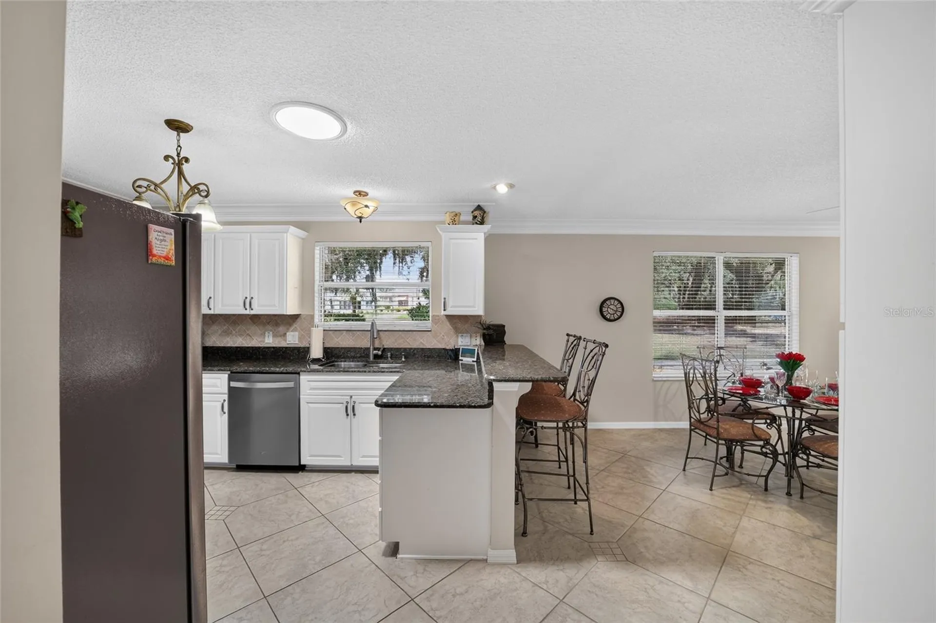 1230 Desilva Street The Villages FL 32159