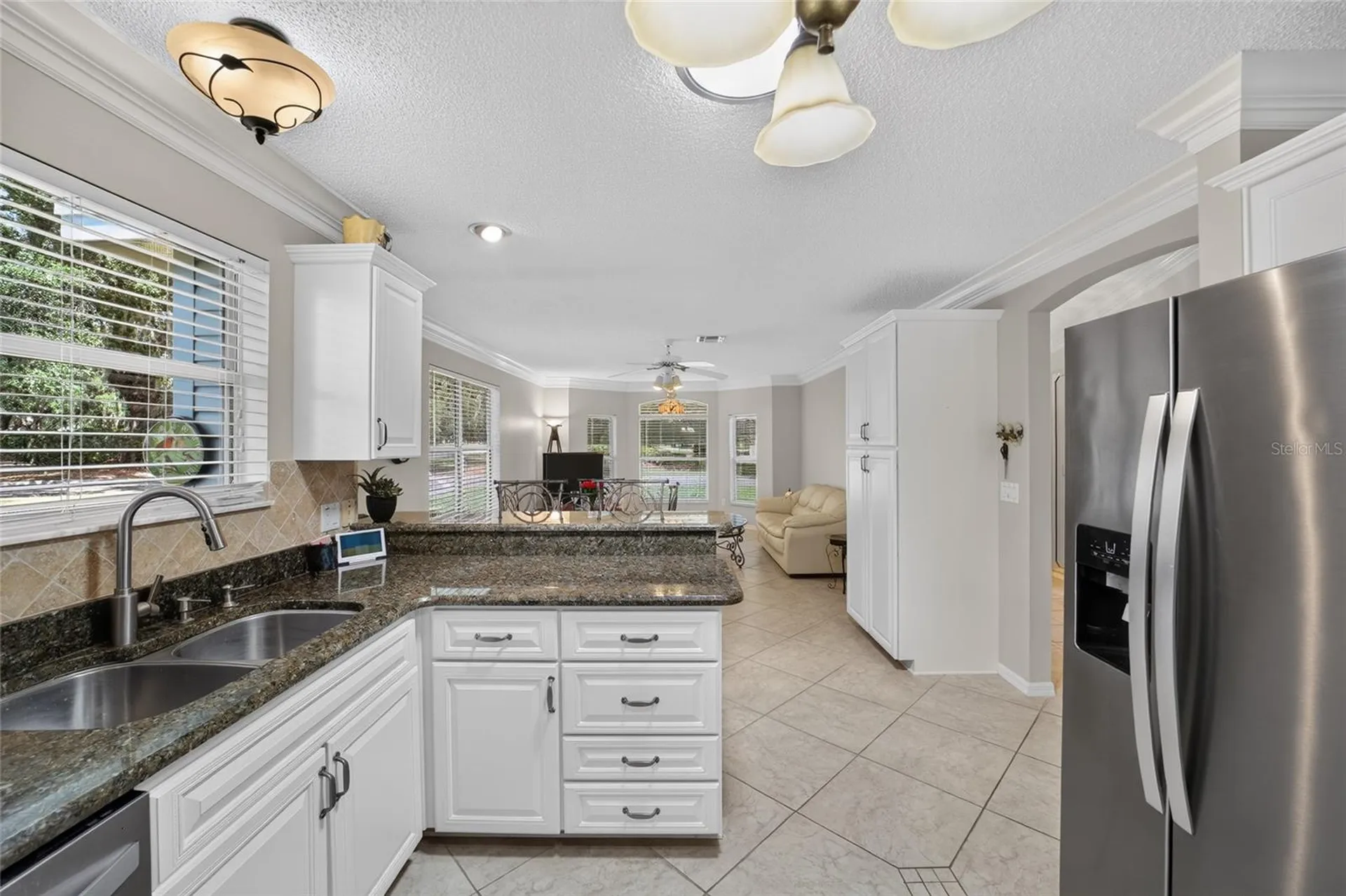 1230 Desilva Street The Villages FL 32159
