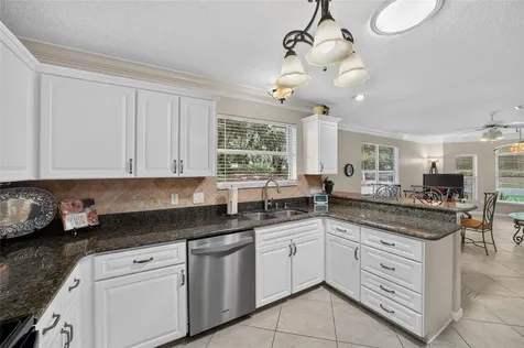1230 Desilva Street The Villages FL 32159