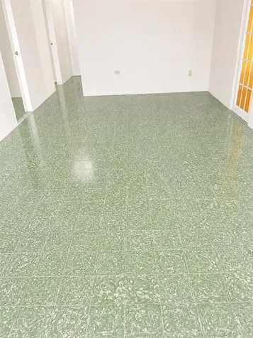 54 Calle Dr. Veve Bayamon PR 00961