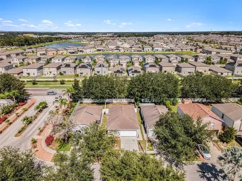 11433 Ivy Flower Loop Riverview FL 33578