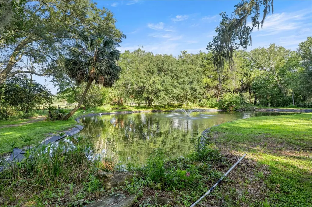 16250 SW 20th Avenue Road Ocala FL 34473
