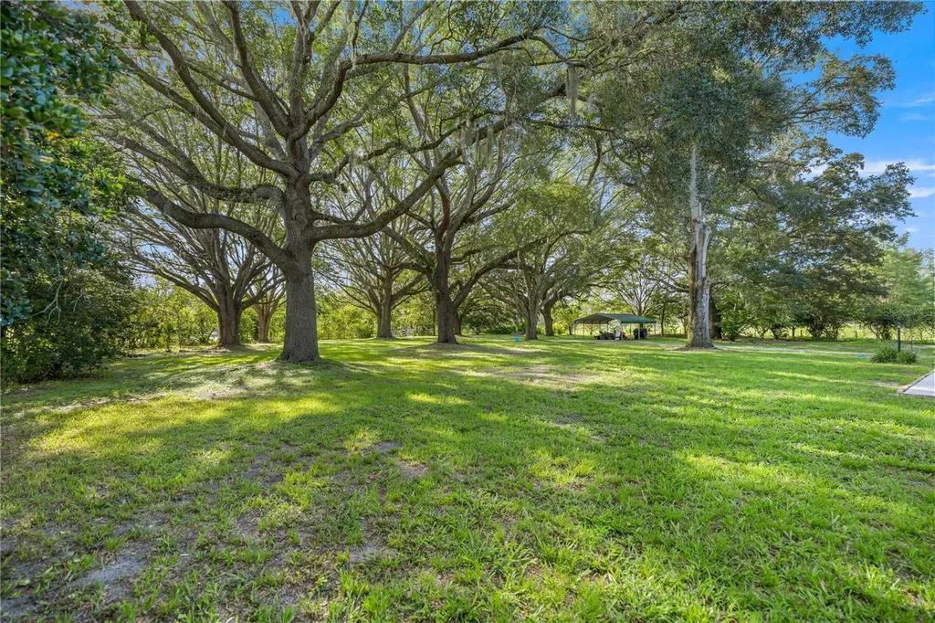 16250 SW 20th Avenue Road Ocala FL 34473