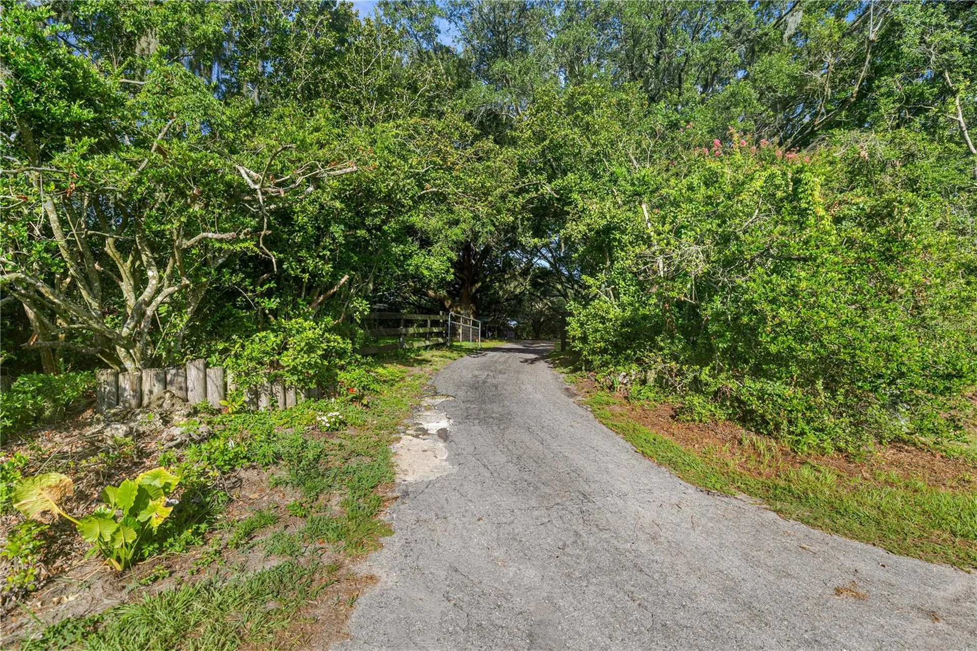 16250 SW 20th Avenue Road Ocala FL 34473