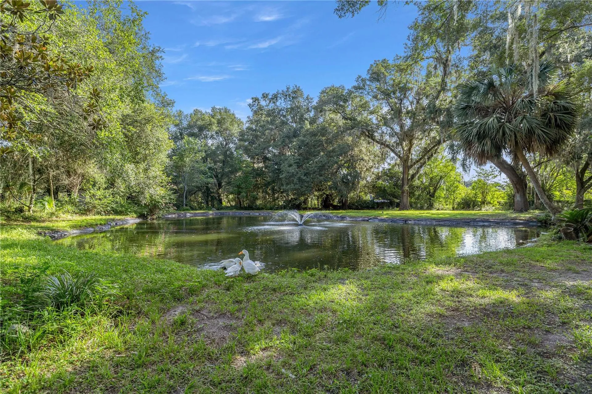 16250 SW 20th Avenue Road Ocala FL 34473