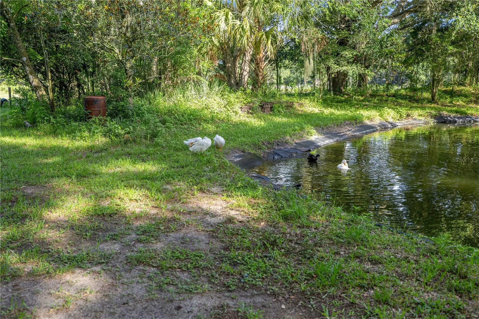 16250 SW 20th Avenue Road Ocala FL 34473