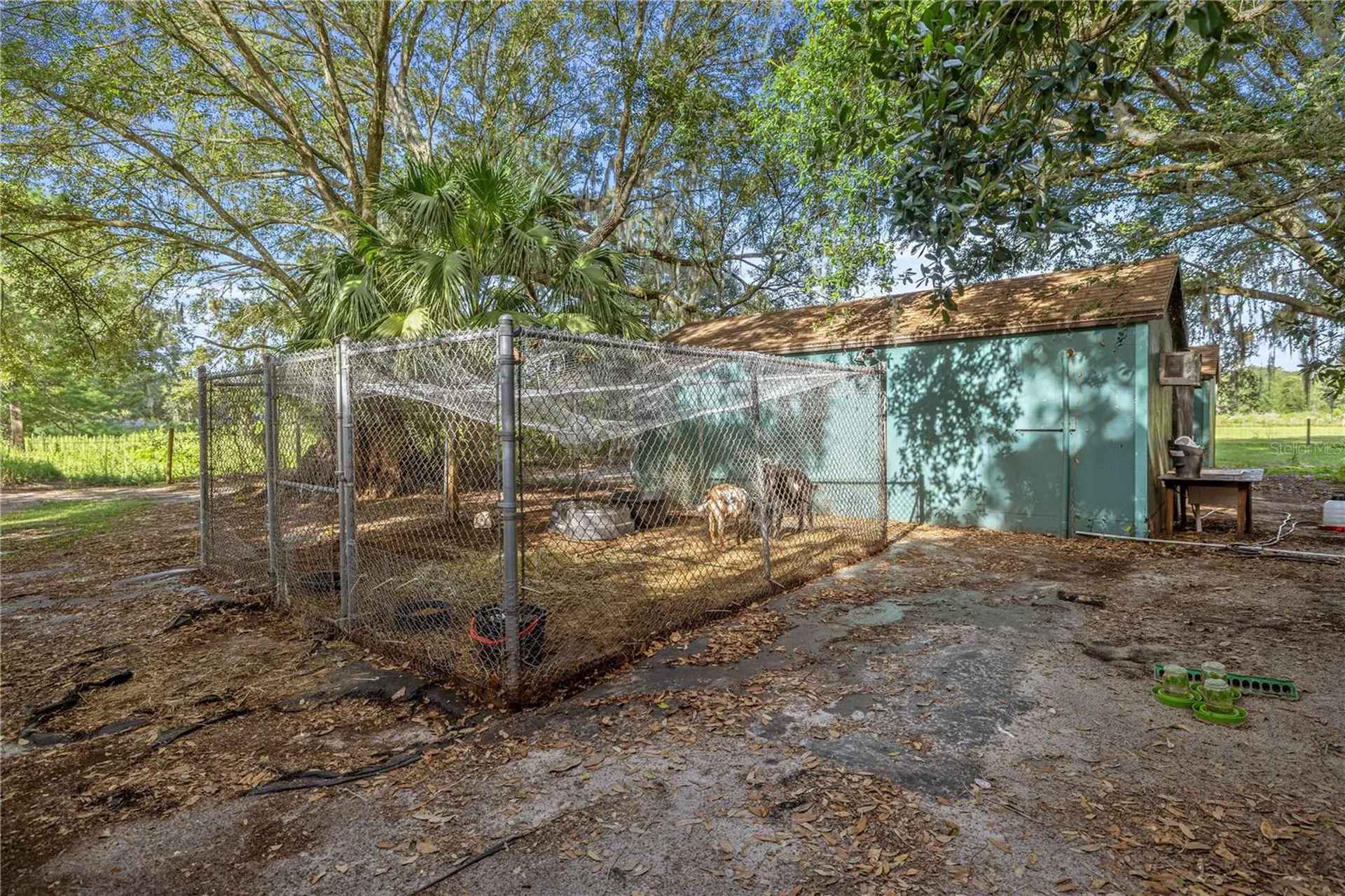 16250 SW 20th Avenue Road Ocala FL 34473