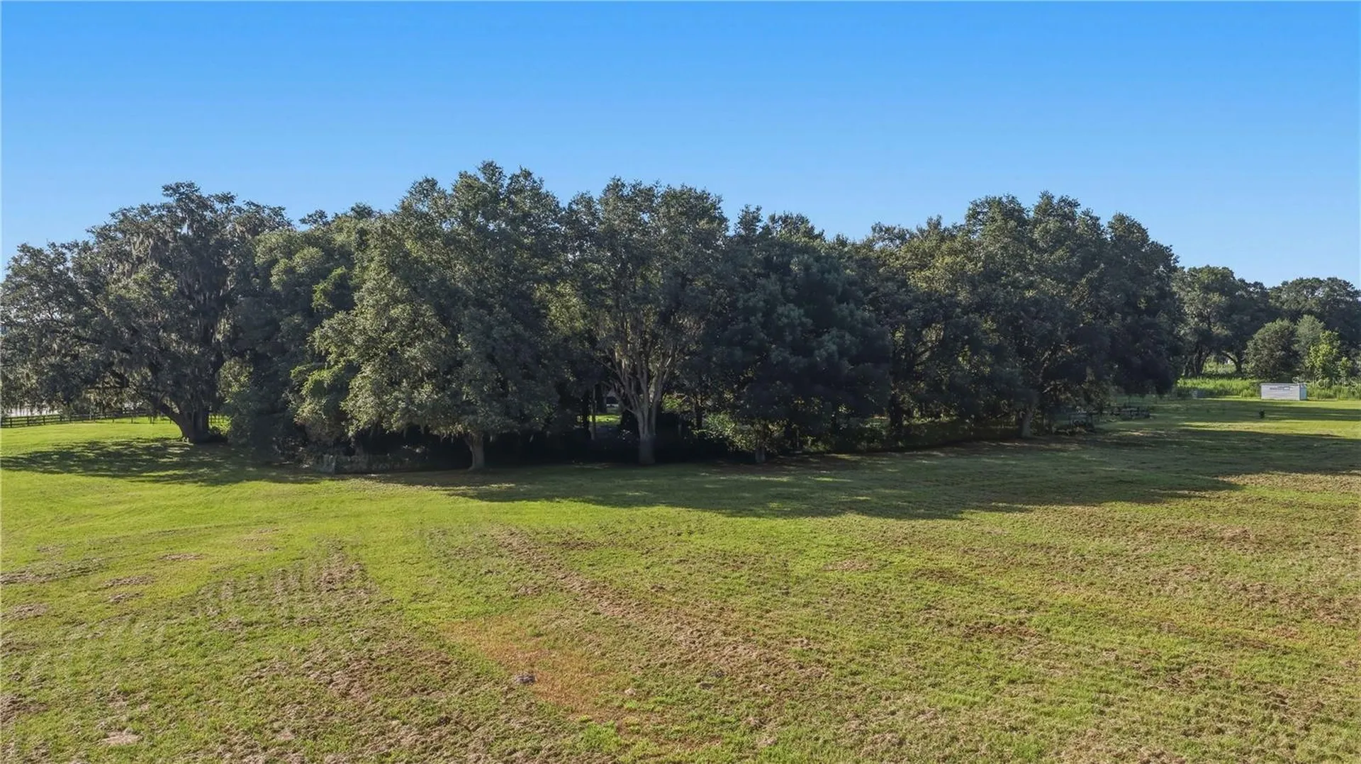 16250 SW 20th Avenue Road Ocala FL 34473