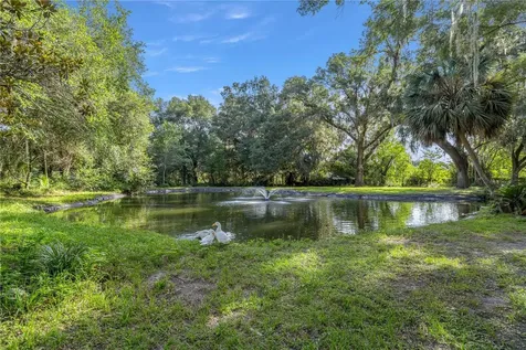16250 SW 20th Avenue Road Ocala FL 34473