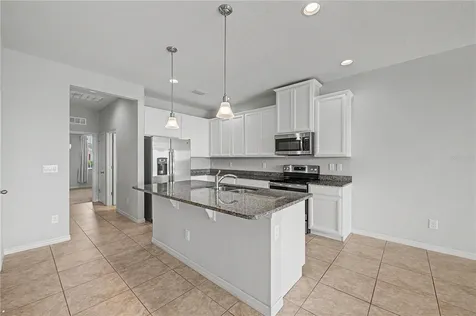 10331 Heron Hideaway Loop Land O Lakes FL 34638