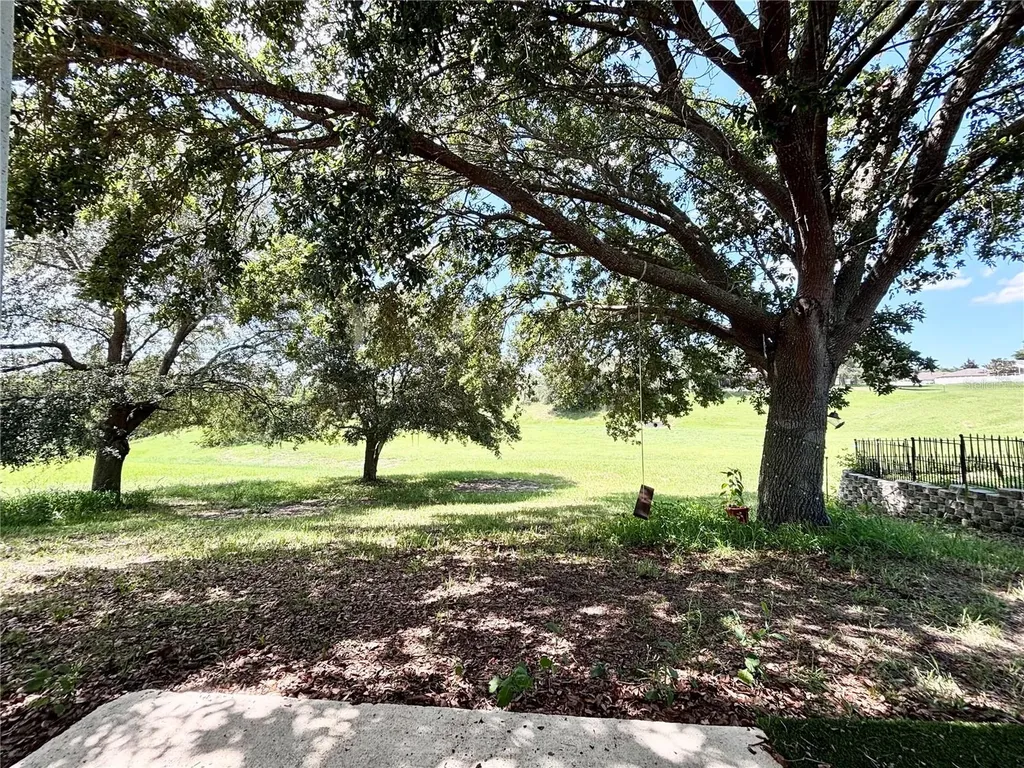 15937 Wilkinson Drive Clermont FL 34714