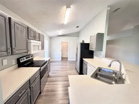 15937 Wilkinson Drive Clermont FL 34714