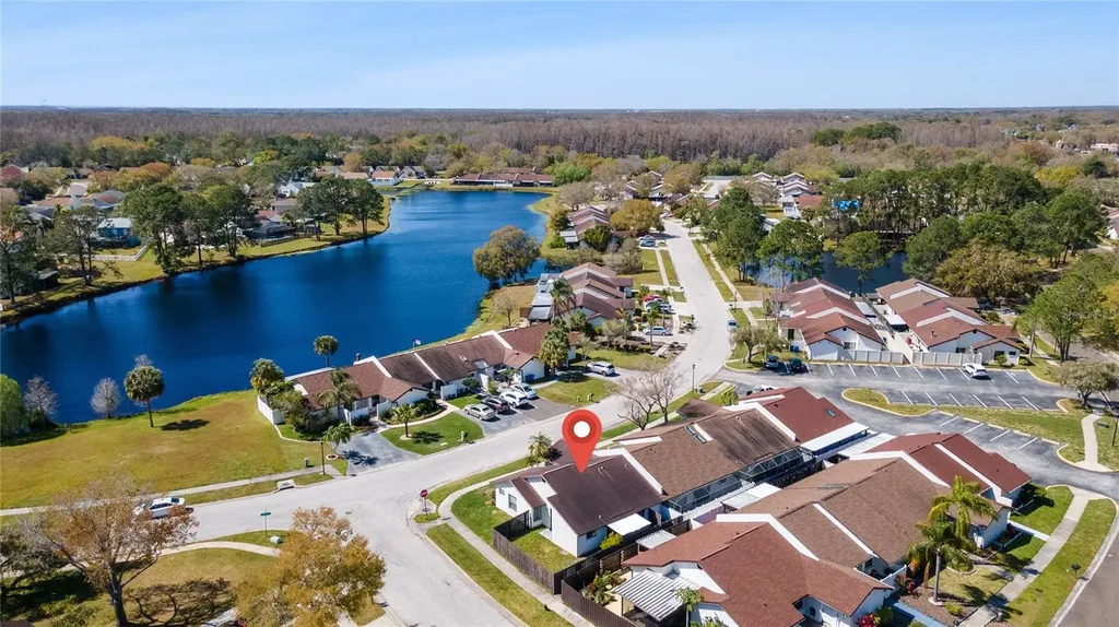 5201 Bellefield Drive Tampa FL 33624