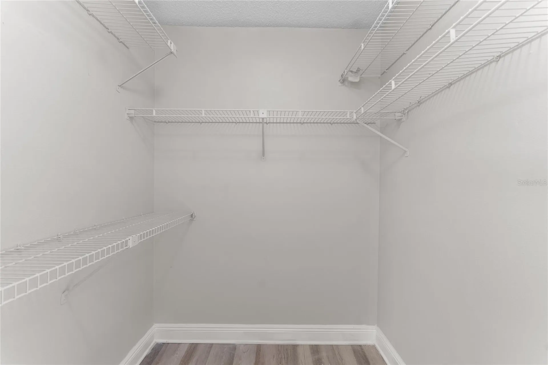 5201 Bellefield Drive Tampa FL 33624