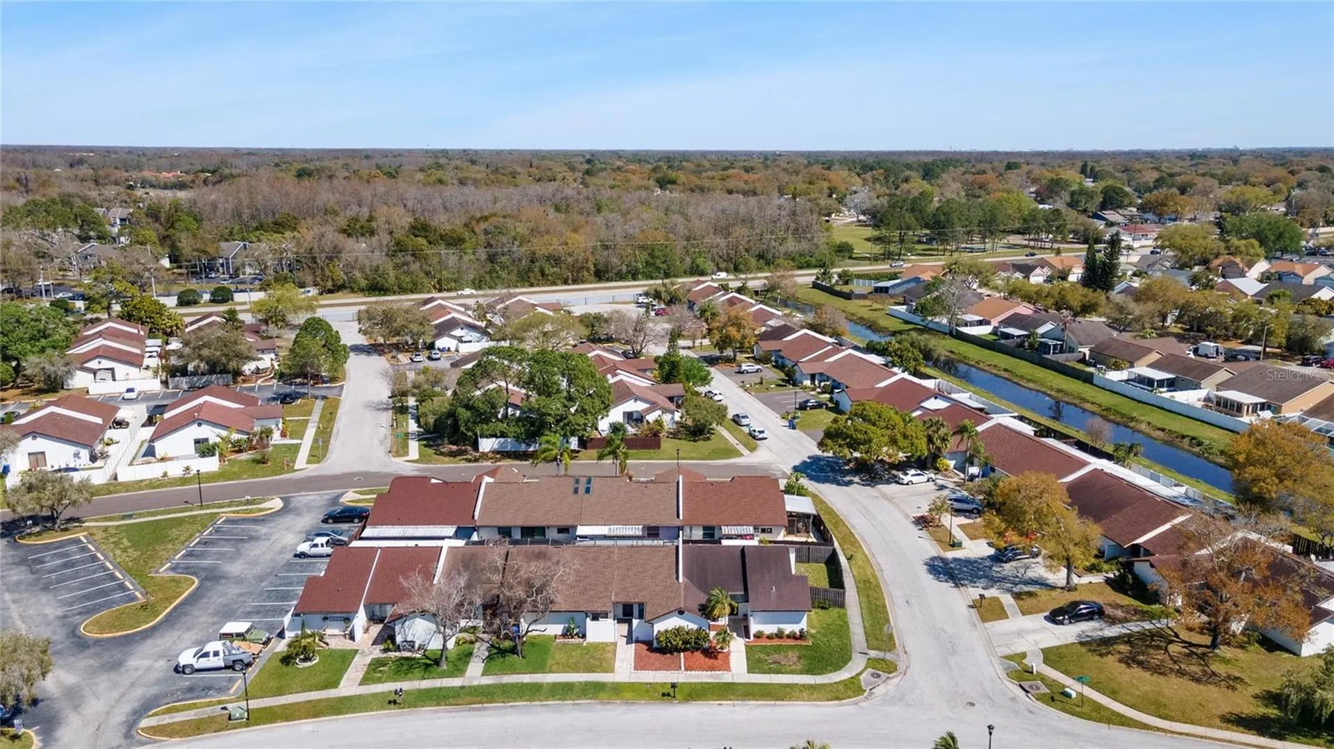 5201 Bellefield Drive Tampa FL 33624