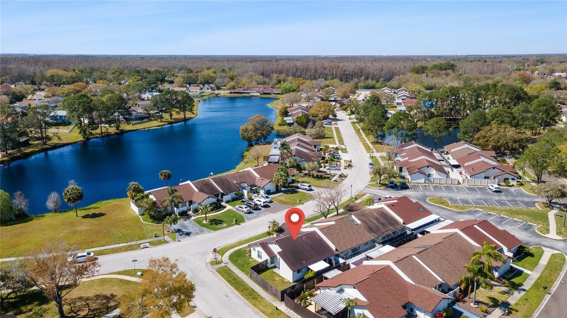 5201 Bellefield Drive Tampa FL 33624