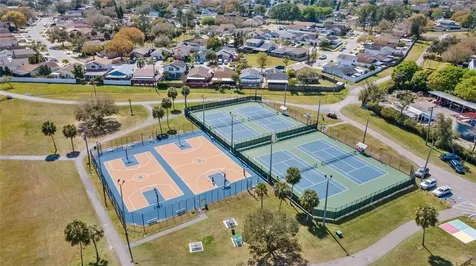 5201 Bellefield Drive Tampa FL 33624