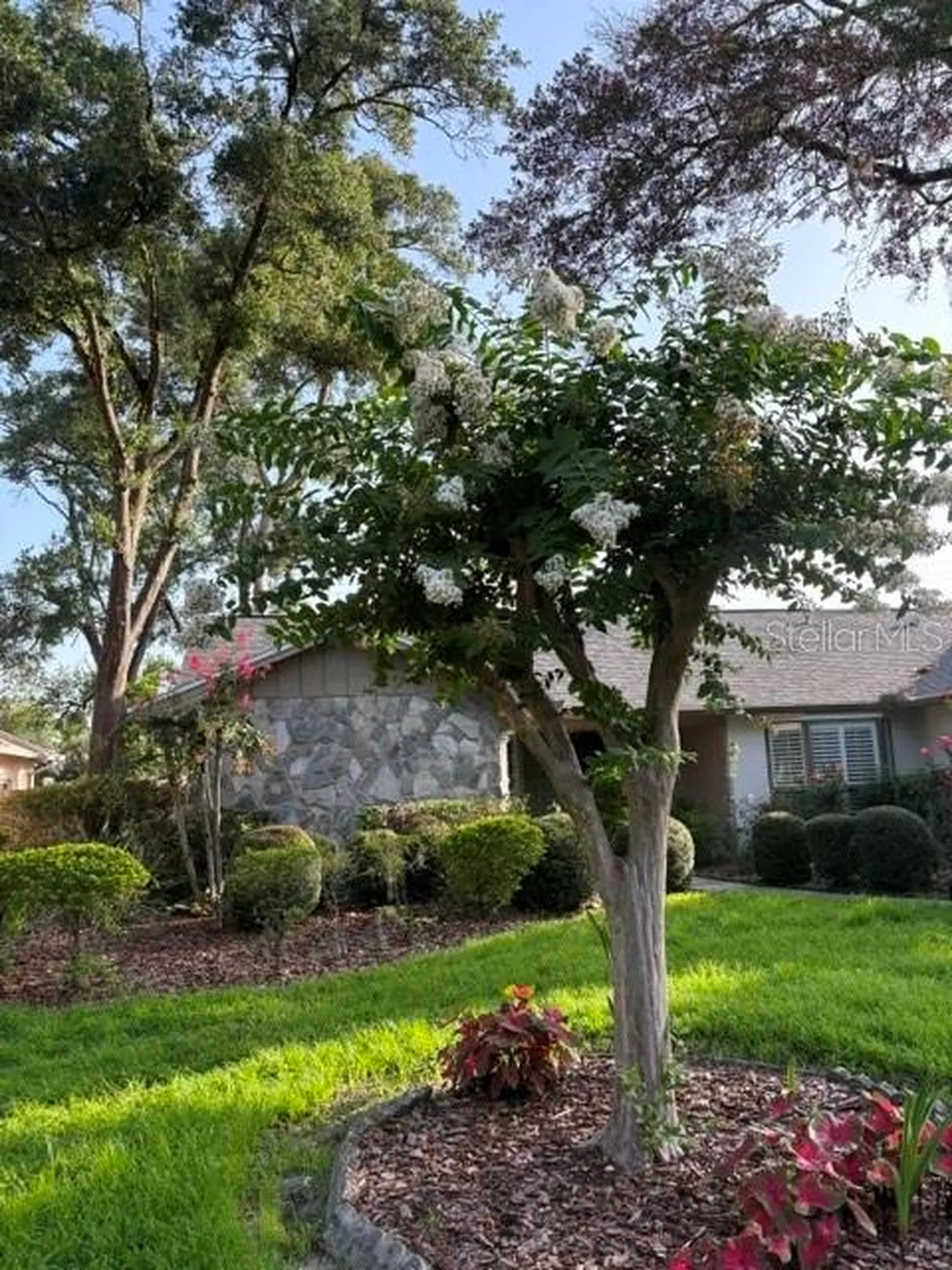 6328 N Queensway Drive Temple Terrace FL 33617
