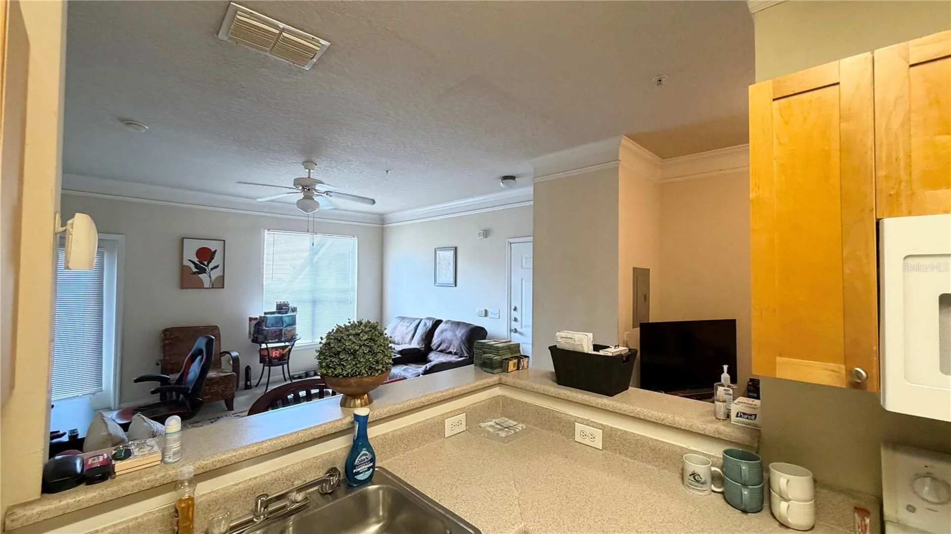 8849 Villa View Circle Orlando FL 32821