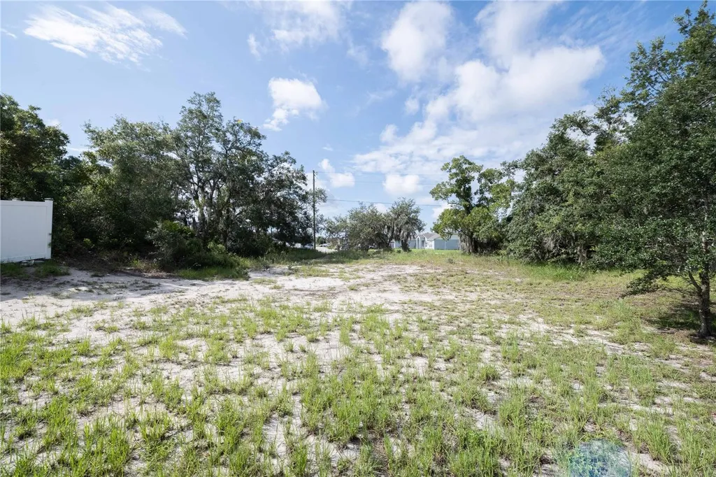 141 Flatfish Court Kissimmee FL 34759
