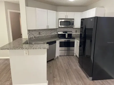 2564 Grassy Point Drive Lake Mary FL 32746