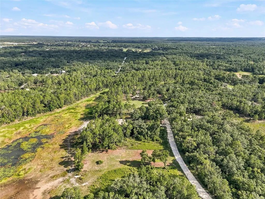 100 Berryhill Drive Webster FL 33597