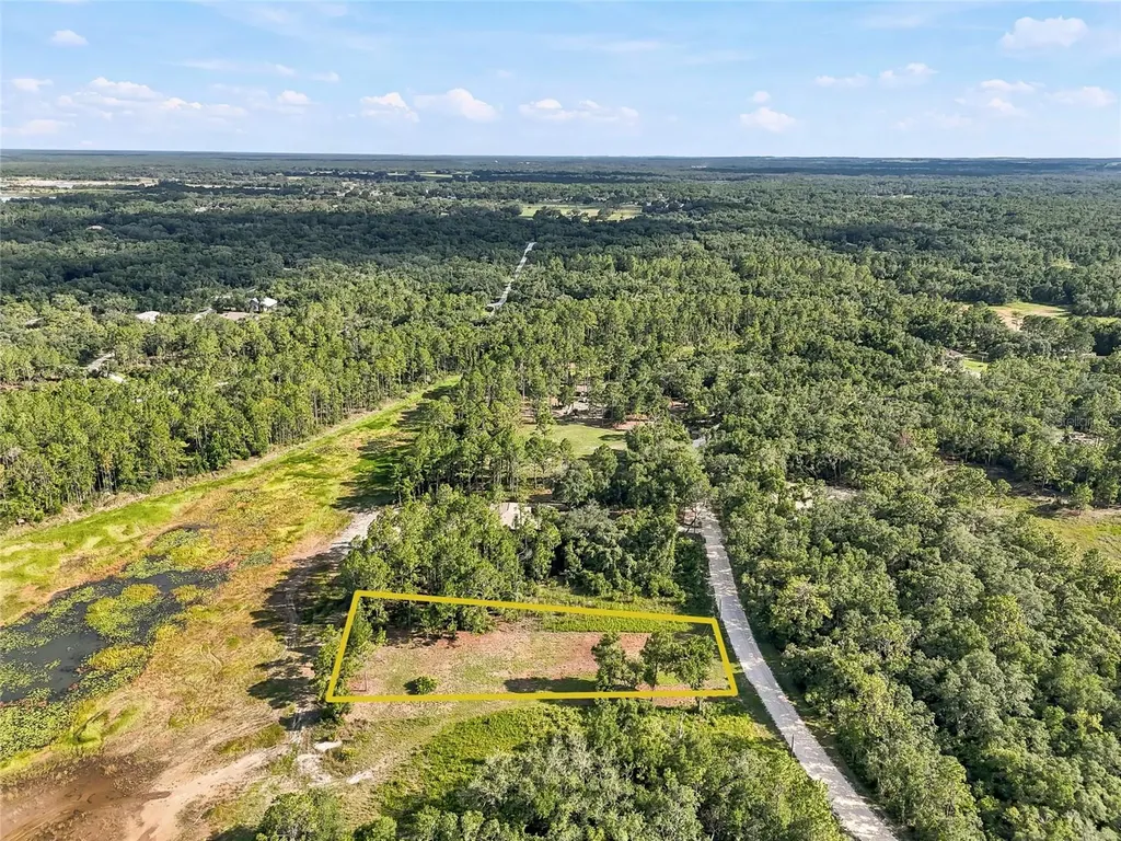 100 Berryhill Drive Webster FL 33597